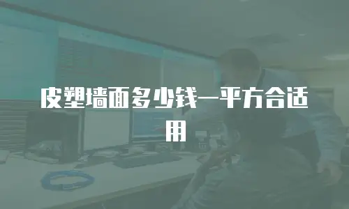 皮塑墙面多少钱一平方合适用