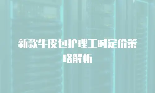 新款牛皮包护理工时定价策略解析