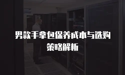 男款手拿包保养成本与选购策略解析
