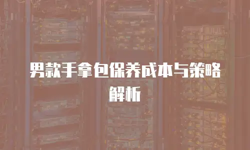 男款手拿包保养成本与策略解析
