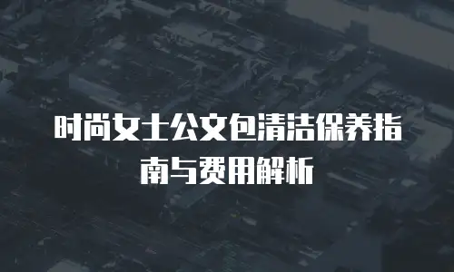 时尚女士公文包清洁保养指南与费用解析