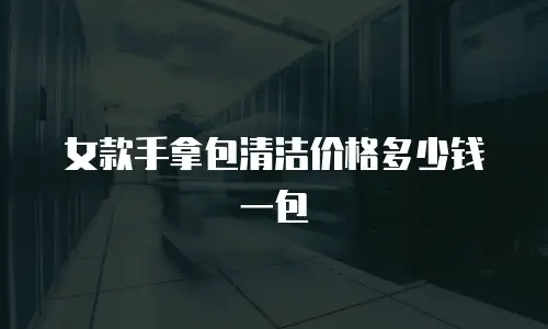 女款手拿包清洁价格多少钱一包