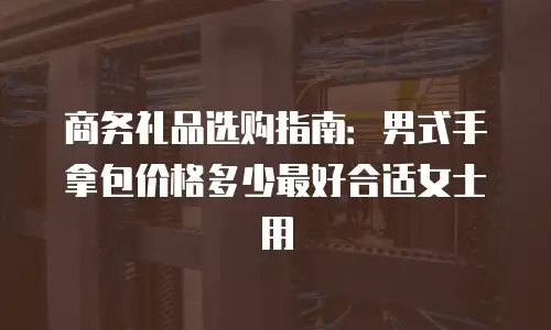 商务礼品选购指南：男式手拿包价格多少最好合适女士用