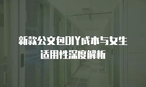 新款公文包DIY成本与女生适用性深度解析