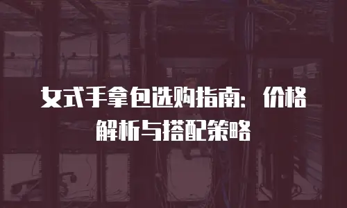 女式手拿包选购指南：价格解析与搭配策略