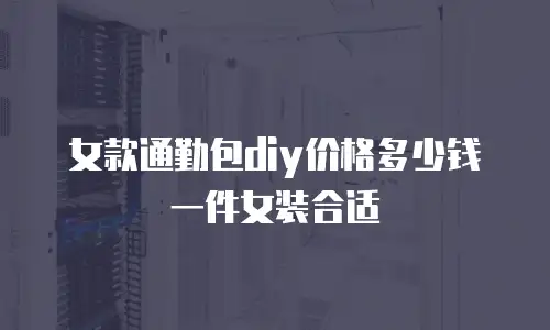 女款通勤包diy价格多少钱一件女装合适