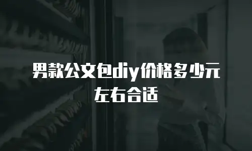男款公文包diy价格多少元左右合适