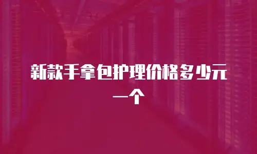 新款手拿包护理价格多少元一个