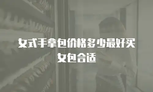 女式手拿包价格多少最好买女包合适