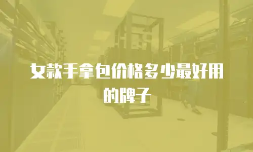 女款手拿包价格多少最好用的牌子