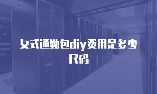 女式通勤包diy费用是多少尺码