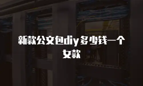 新款公文包diy多少钱一个女款