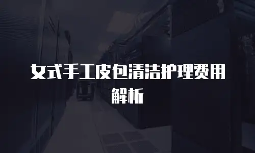 女式手工皮包清洁护理费用解析