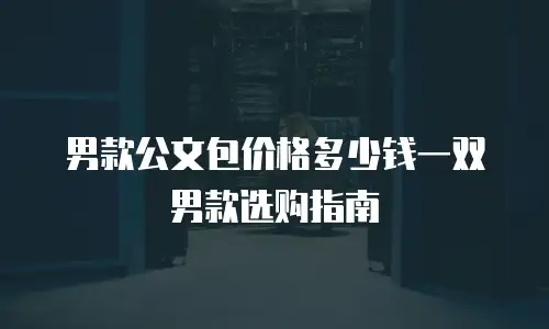男款公文包价格多少钱一双男款选购指南