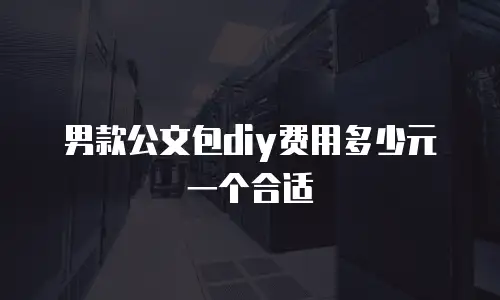 男款公文包diy费用多少元一个合适
