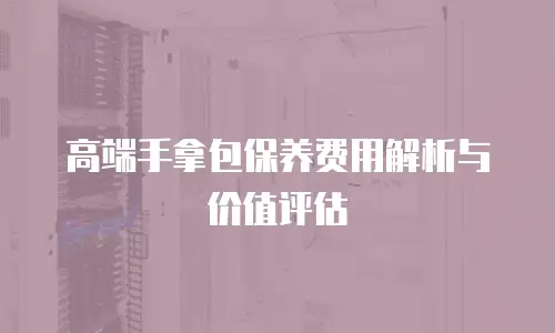 高端手拿包保养费用解析与价值评估