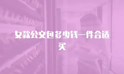 女款公文包多少钱一件合适买