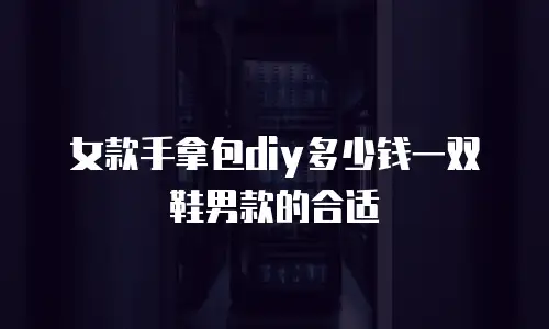 女款手拿包diy多少钱一双鞋男款的合适