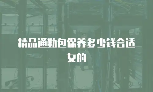 精品通勤包保养多少钱合适女的