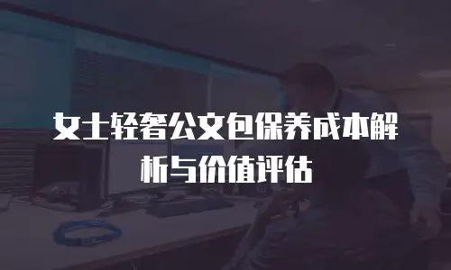 女士轻奢公文包保养成本解析与价值评估