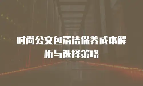 时尚公文包清洁保养成本解析与选择策略
