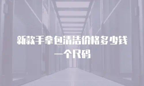 新款手拿包清洁价格多少钱一个尺码