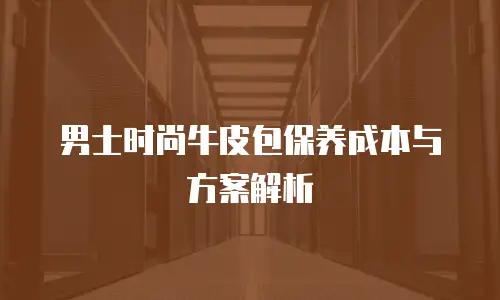 男士时尚牛皮包保养成本与方案解析