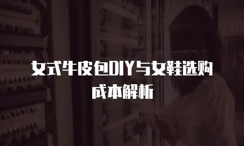 女式牛皮包DIY与女鞋选购成本解析