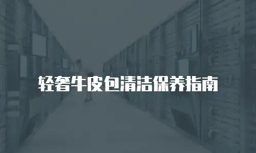 轻奢牛皮包清洁保养指南