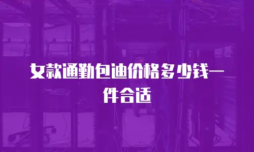 女款通勤包迪价格多少钱一件合适