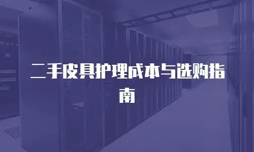 二手皮具护理成本与选购指南