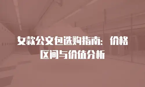 女款公文包选购指南：价格区间与价值分析