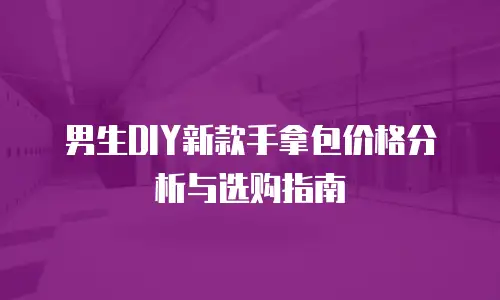 男生DIY新款手拿包价格分析与选购指南