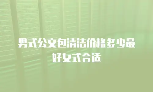 男式公文包清洁价格多少最好女式合适
