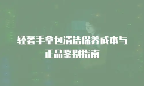 轻奢手拿包清洁保养成本与正品鉴别指南