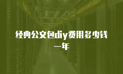 经典公文包diy费用多少钱一年