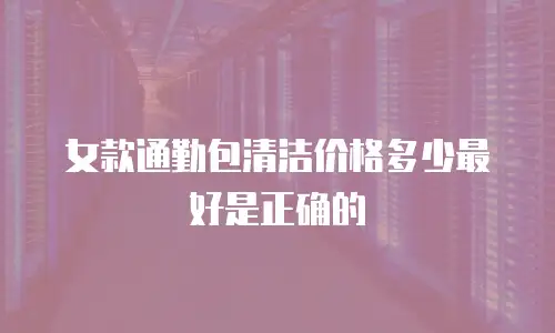 女款通勤包清洁价格多少最好是正确的