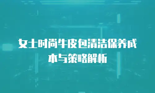 女士时尚牛皮包清洁保养成本与策略解析