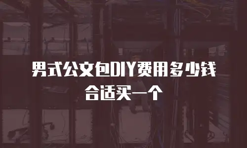男式公文包DIY费用多少钱合适买一个