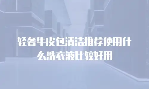 轻奢牛皮包清洁推荐使用什么洗衣液比较好用