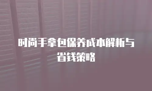 时尚手拿包保养成本解析与省钱策略