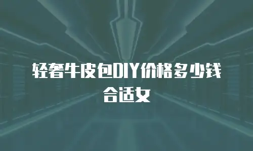 轻奢牛皮包DIY价格多少钱合适女