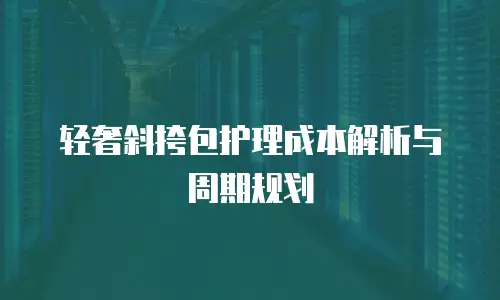 轻奢斜挎包护理成本解析与周期规划