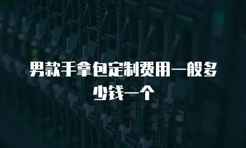 男款手拿包定制费用一般多少钱一个