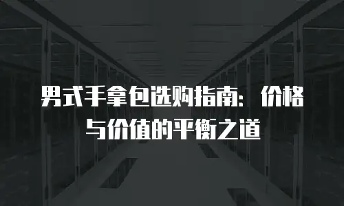 男式手拿包选购指南：价格与价值的平衡之道