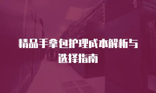 精品手拿包护理成本解析与选择指南