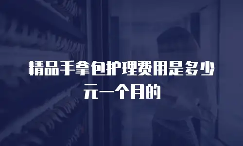精品手拿包护理费用是多少元一个月的