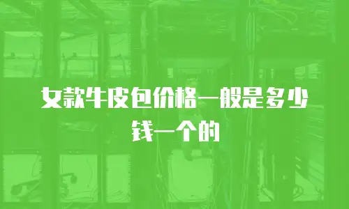女款牛皮包价格一般是多少钱一个的
