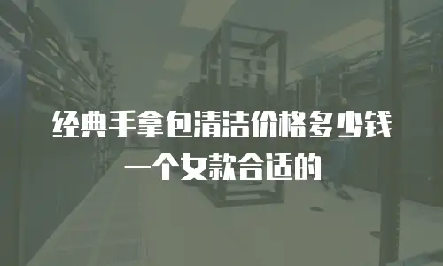 经典手拿包清洁价格多少钱一个女款合适的
