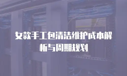女款手工包清洁维护成本解析与周期规划